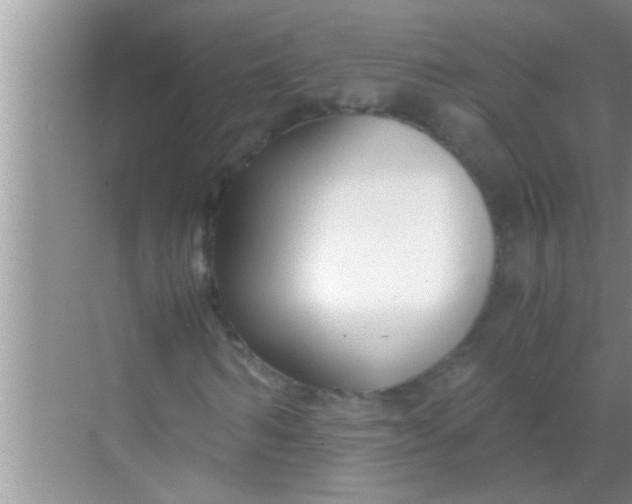 X0000069410962200605262205