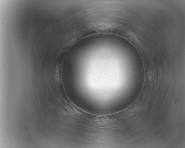 X0000069410964200605262205