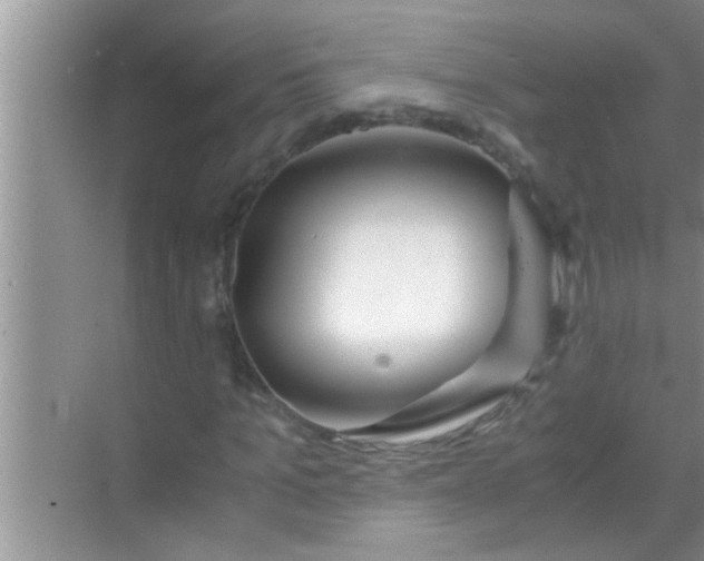 X0000069410965200605262205