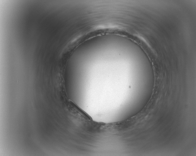 X0000069410967200605262205