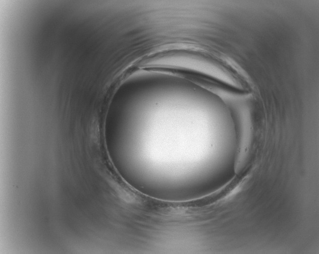 X0000069410969200605262204