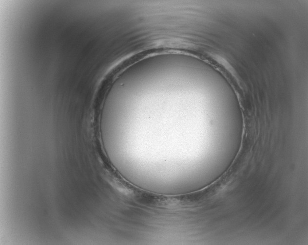 X0000069410971200605262204