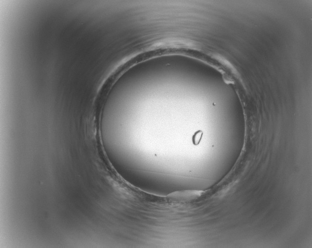 X0000069410973200605262204