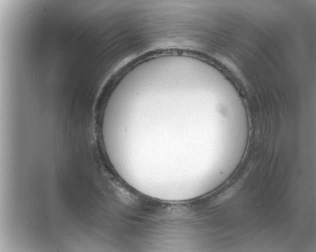 X0000069410974200605262204