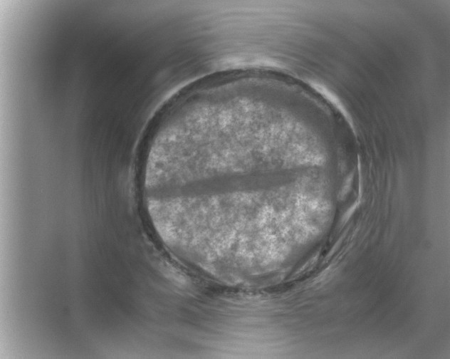 X0000069410975200605262204