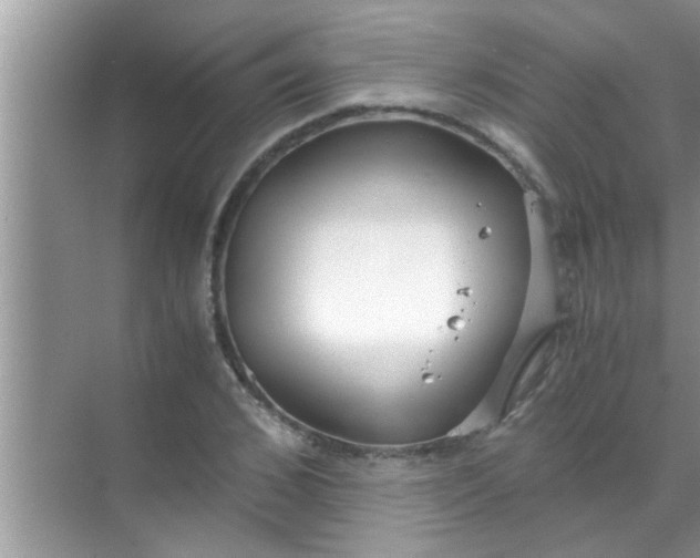 X0000069410976200605262204