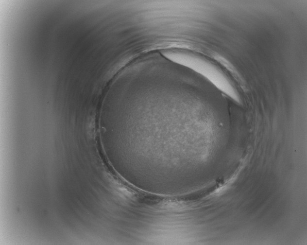 X0000069410977200605262204