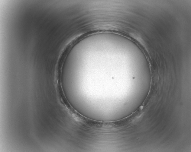 X0000069410979200605262204