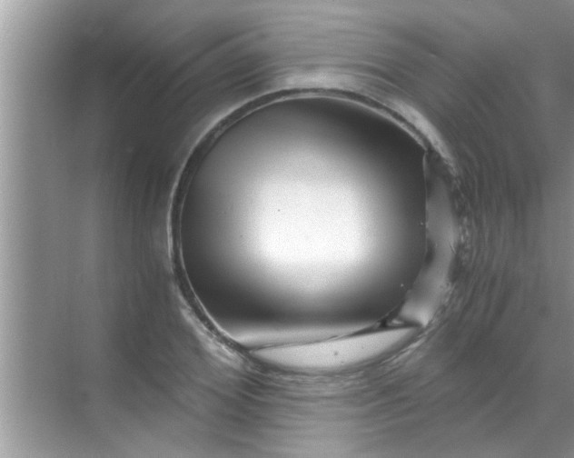 X0000069410980200605262204