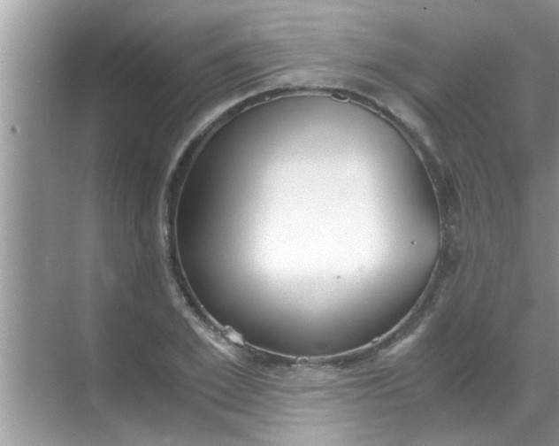 X0000069410981200605262204