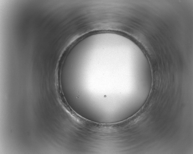 X0000069410982200605262204