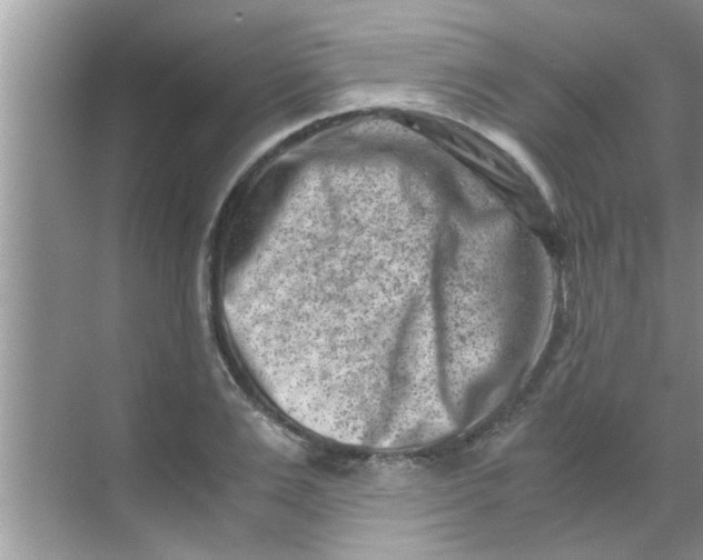 X0000069410983200605262204