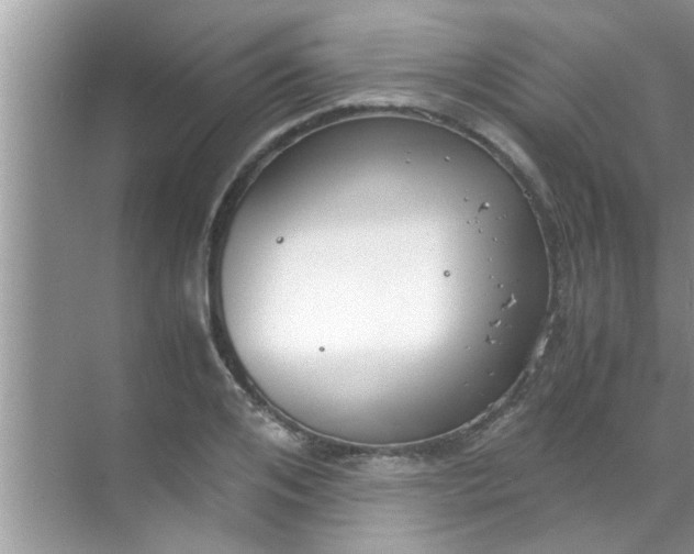 X0000069410984200605262204