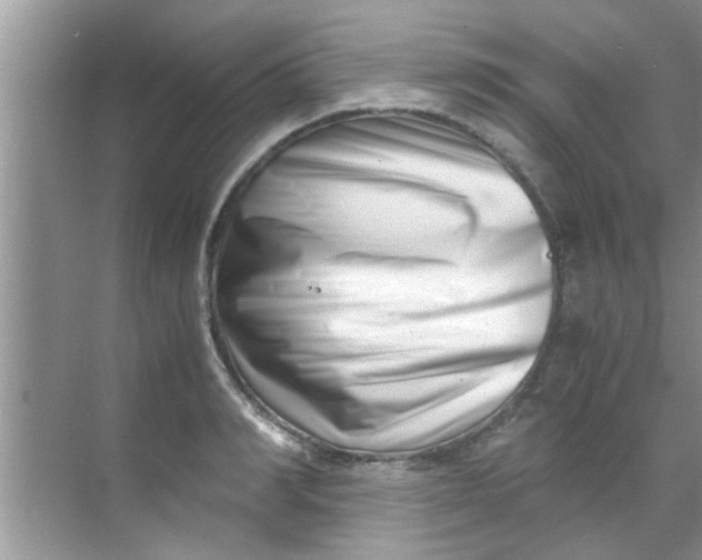 X0000069410990200605262204