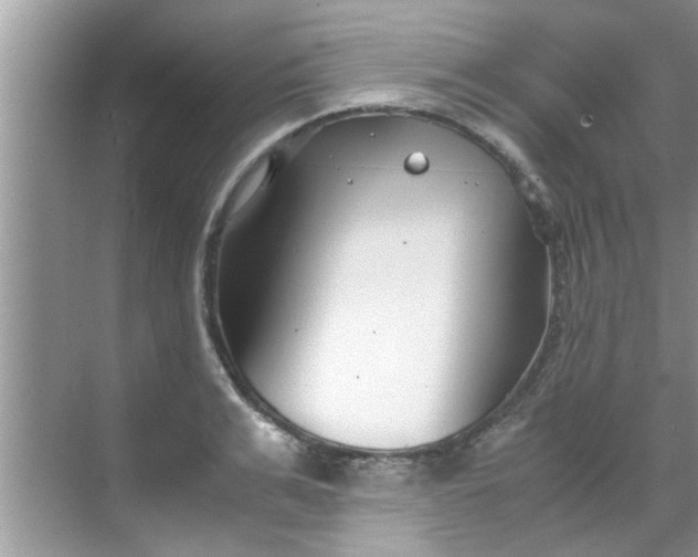 X0000069410991200605262204