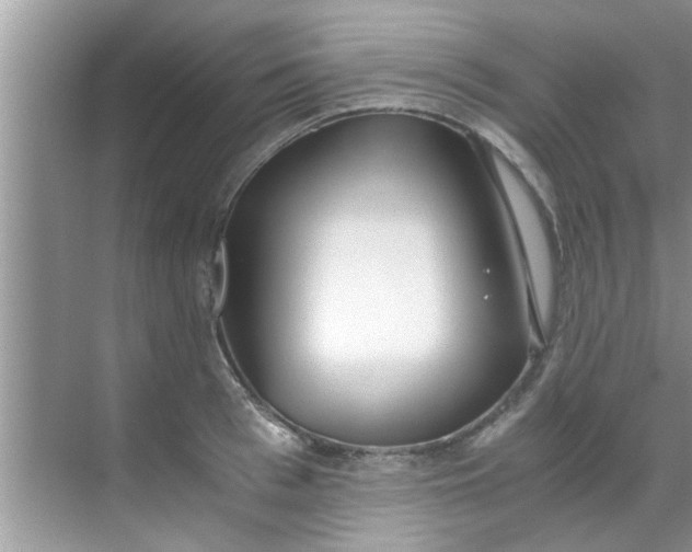 X0000069410993200605262204