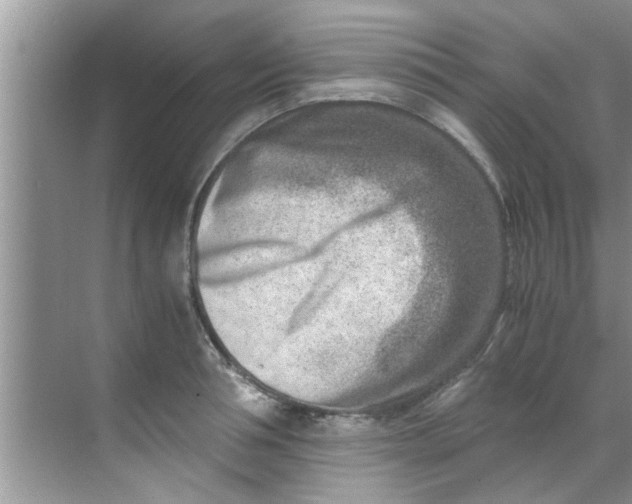 X0000069410994200605262204