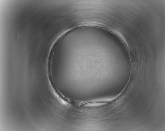 X0000069410995200605262204