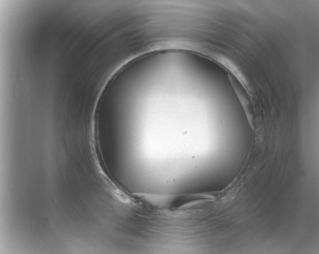 X0000069410996200605262204