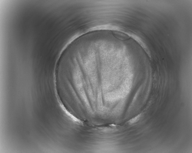 X0000069410998200605262204