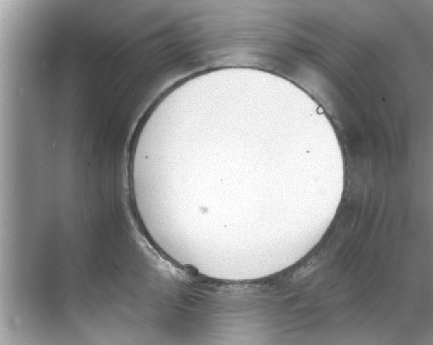 X0000069411000200605262204