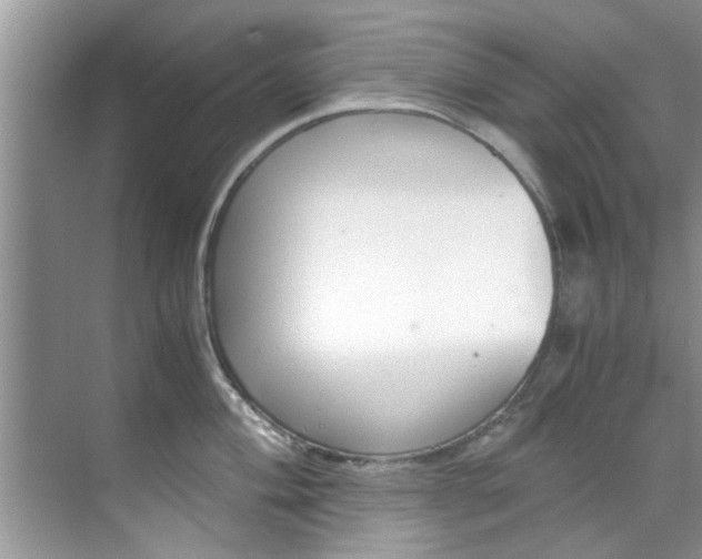 X0000069411004200605262204