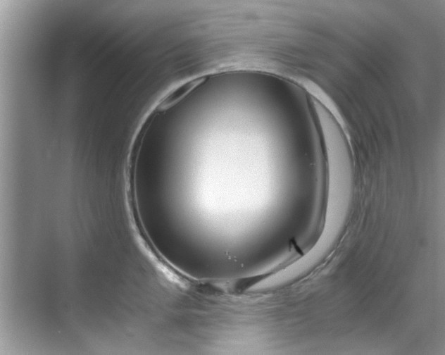 X0000069411005200605262204