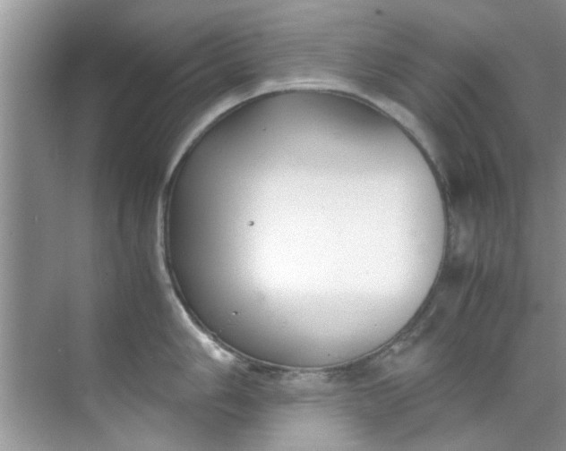 X0000069411006200605262204