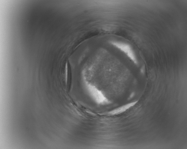 X0000069411009200605262203