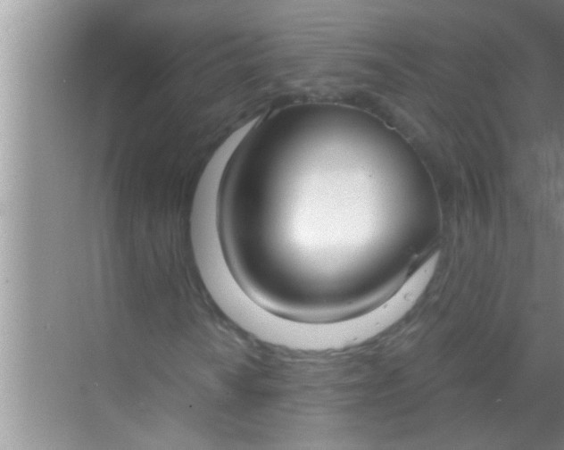 X0000069411010200605262203