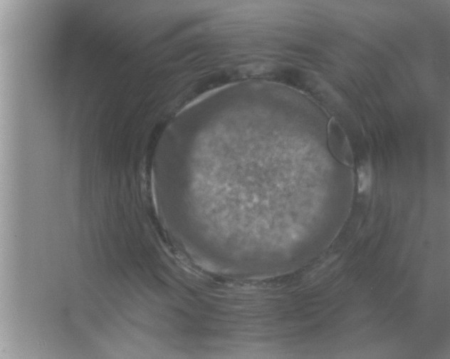 X0000069411011200605262203