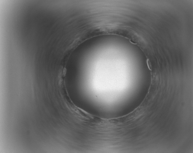 X0000069411012200605262203