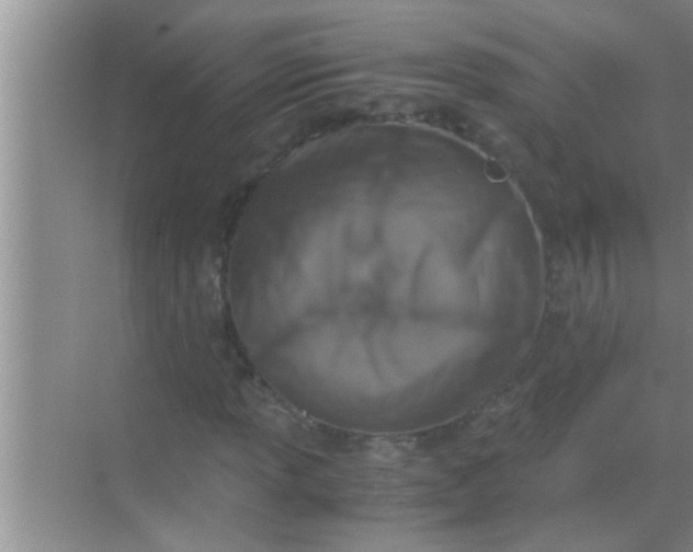 X0000069411013200605262203