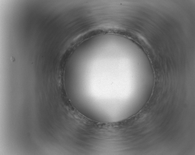 X0000069411016200605262203