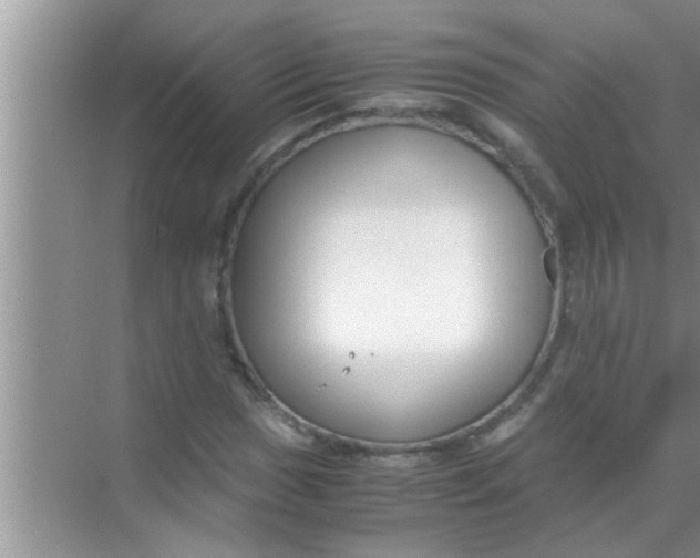 X0000069411017200605262203