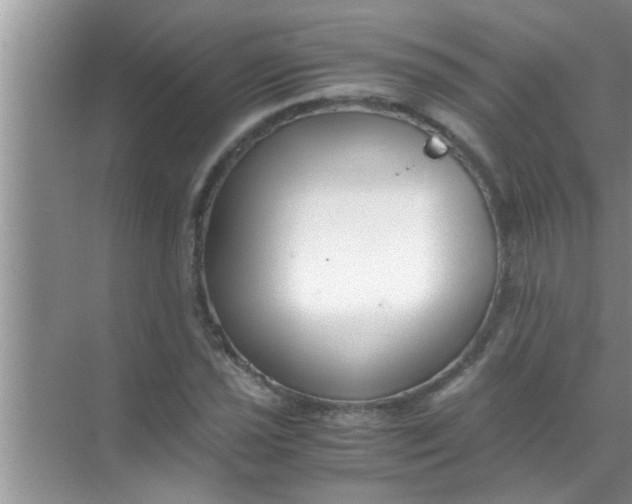 X0000069411021200605262203