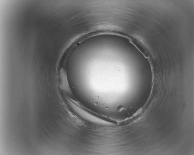 X0000069411022200605262203