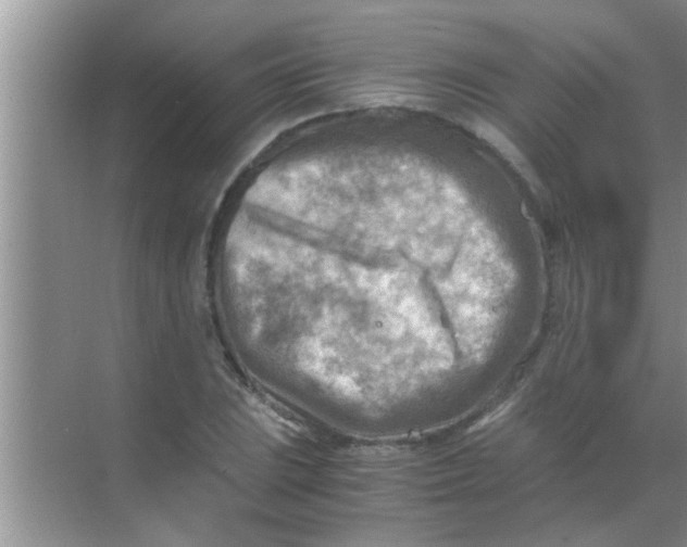 X0000069411023200605262203