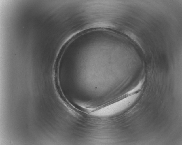 X0000069411024200605262203