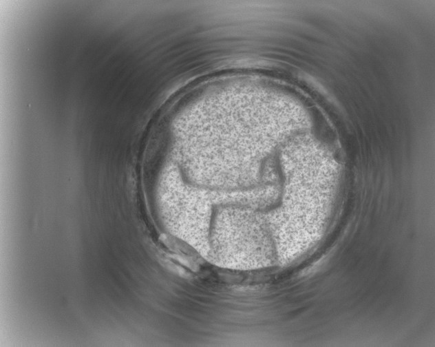 X0000069411025200605262203