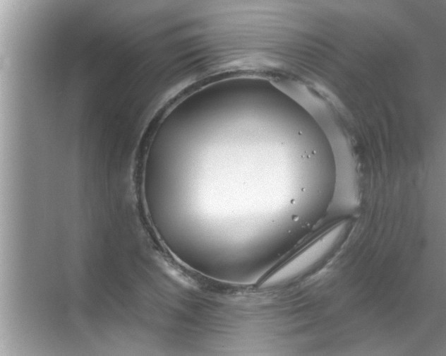 X0000069411026200605262203