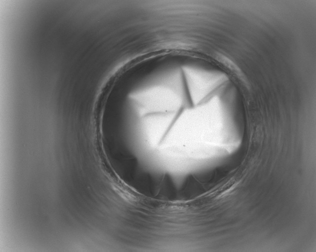 X0000069411027200605262203