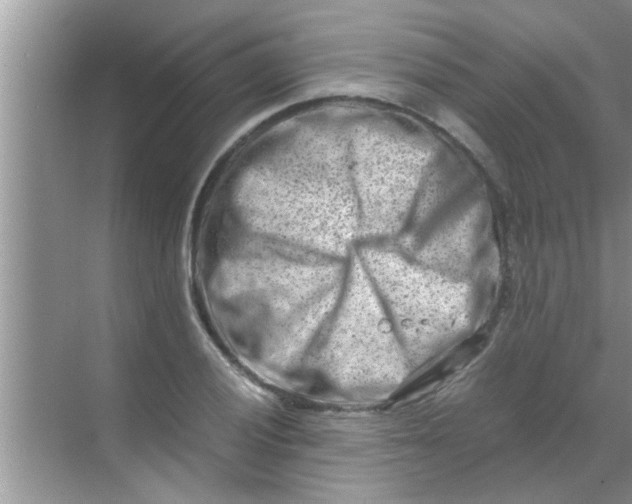 X0000069411028200605262203