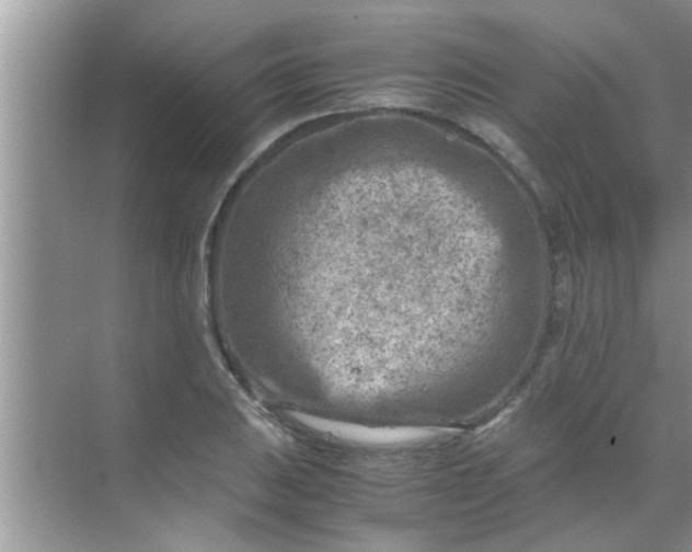 X0000069411031200605262203