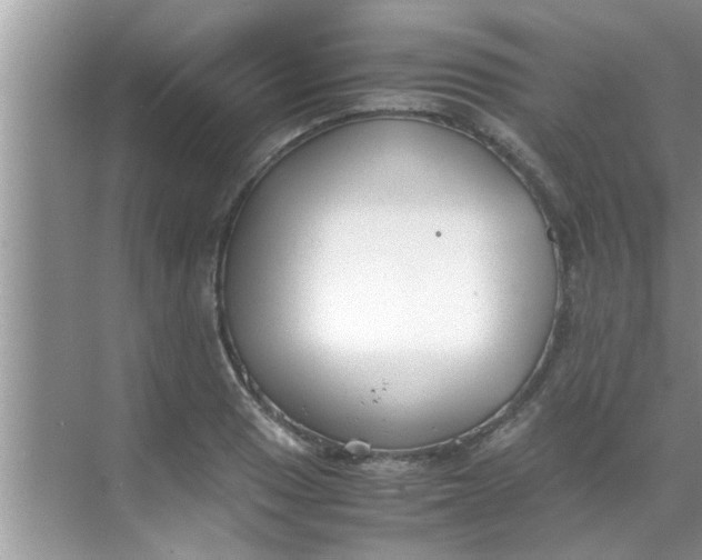 X0000069411033200605262203