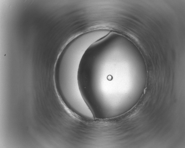 X0000069411034200605262203