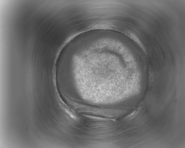 X0000069411035200605262203