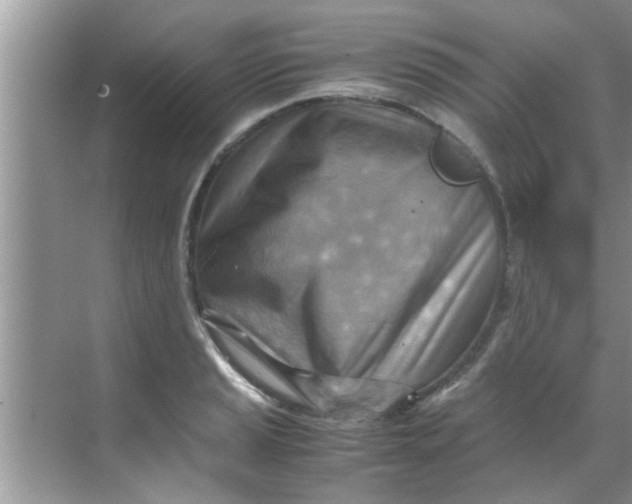 X0000069411037200605262204