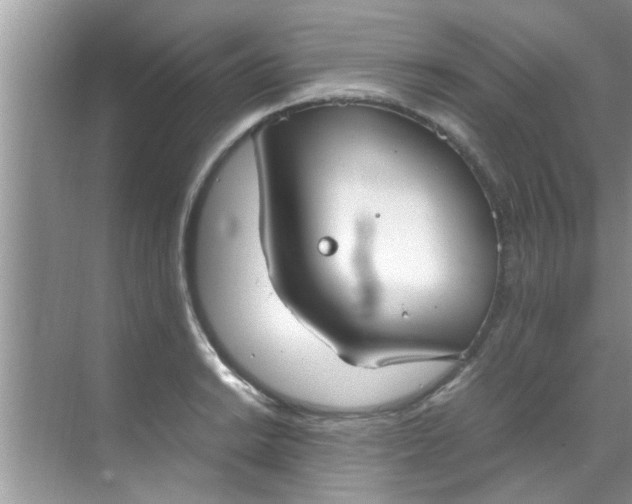 X0000069411038200605262204