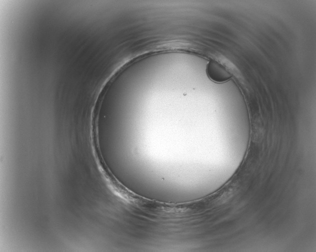 X0000069411039200605262204